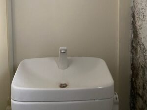 トイレのカビ